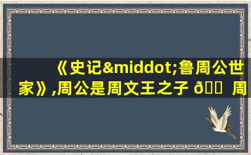 《史记·鲁周公世家》,周公是周文王之子 🐠 周武王之弟